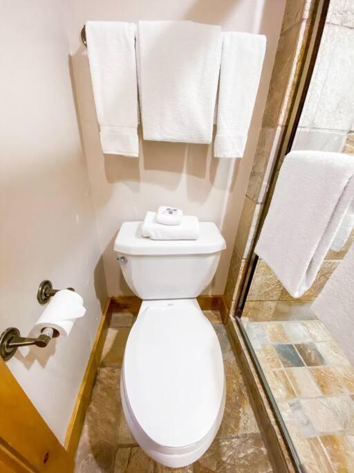2 Bedroom Condominium - Luxury Skiin And Out テルユライド エクステリア 写真