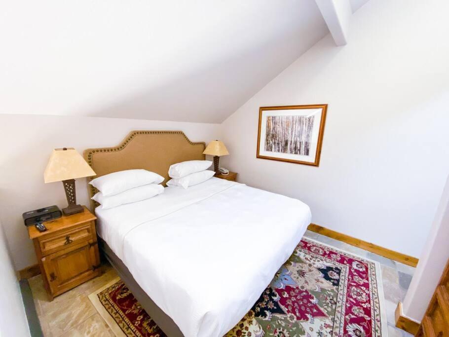 2 Bedroom Condominium - Luxury Skiin And Out テルユライド エクステリア 写真